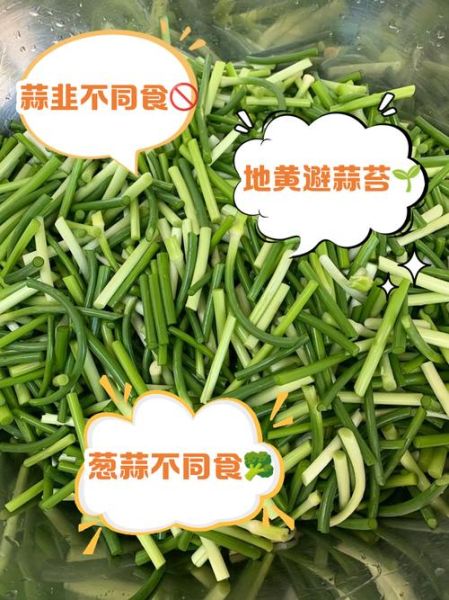 孕妇能吃蒜苔吗_怀孕吃蒜苔对胎儿好吗-第3张图片-星辰妙记 孕妇能吃蒜苔吗_怀孕吃蒜苔对胎儿好吗-第3张图片-星辰妙记