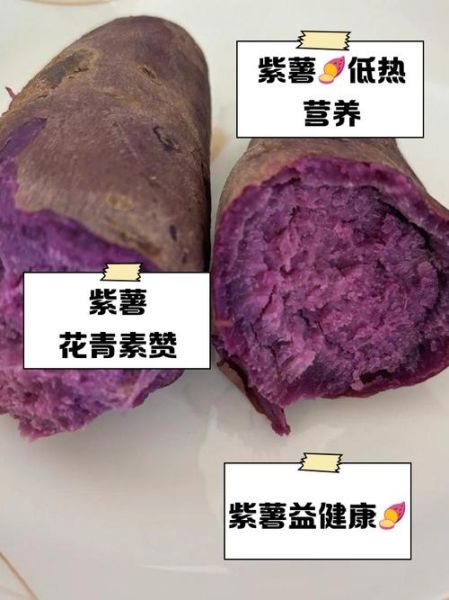 孕妇吃紫薯好还是红薯好_孕期吃紫薯和红薯哪个更营养-第2张图片-星辰妙记 孕妇吃紫薯好还是红薯好_孕期吃紫薯和红薯哪个更营养-第2张图片-星辰妙记