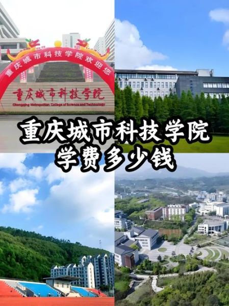 重庆大学城市科技学院怎么样_重庆大学城市科技学院学费多少-第1张图片-星辰妙记