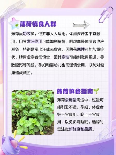 孕妇能吃薄荷吗_薄荷对孕妇的影响-第1张图片-星辰妙记