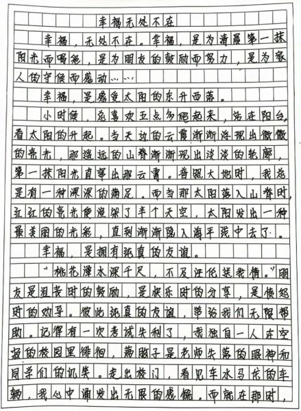 如何提高作文水平_800字作文怎么写-第3张图片-星辰妙记