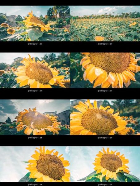 景深镜头的作用_如何提升画面层次感-第3张图片-星辰妙记