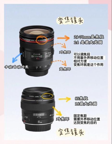 1770镜头适合拍什么_1770镜头和24105怎么选-第1张图片-星辰妙记