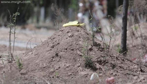 孕妇梦见坟墓是胎梦吗_孕妇梦见坟墓预示什么-第3张图片-星辰妙记 孕妇梦见坟墓是胎梦吗_孕妇梦见坟墓预示什么-第3张图片-星辰妙记