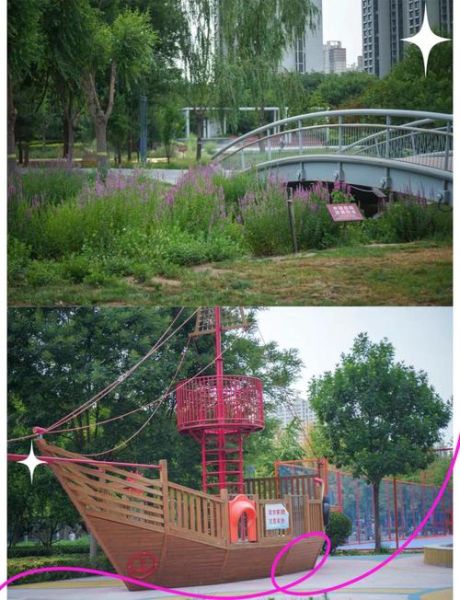 海鸥镜头口有哪些型号_如何挑选转接环-第2张图片-星辰妙记