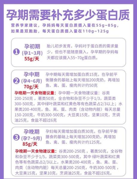 孕妇补充蛋白质吃什么最好_孕期高蛋白食物推荐-第2张图片-星辰妙记