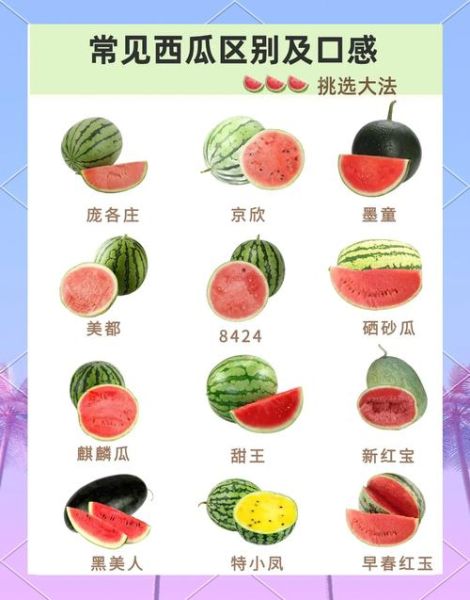 西瓜怎么挑选_西瓜为什么这么甜-第2张图片-星辰妙记