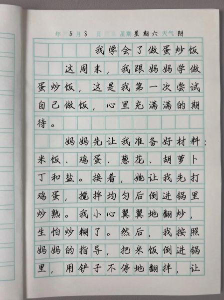 蛋炒饭作文怎么写_蛋炒饭作文写作技巧-第3张图片-星辰妙记