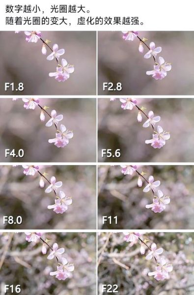 镜头标识f是什么意思_光圈值f数值怎么读-第2张图片-星辰妙记