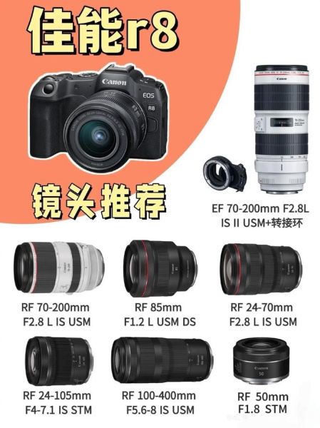 佳能万能镜头哪款好_佳能万能镜头怎么选-第2张图片-星辰妙记