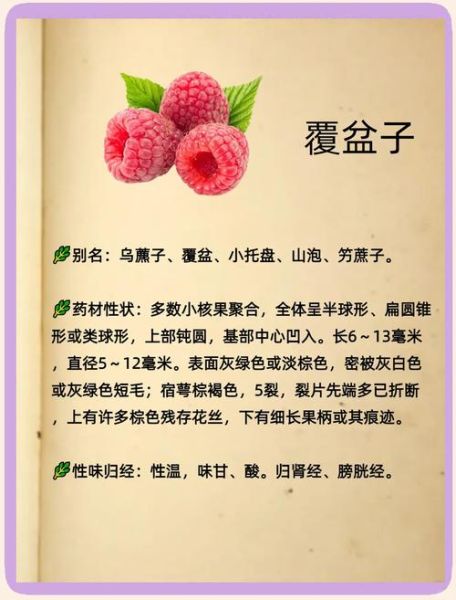 孕妇能吃覆盆子吗_覆盆子对孕妇的好处-第1张图片-星辰妙记