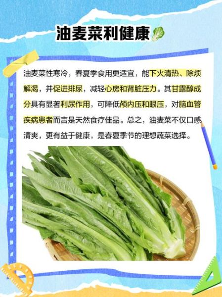 孕妇可以吃油麦菜吗_油麦菜对孕妇的好处-第1张图片-星辰妙记