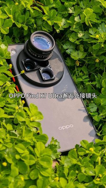 微距用什么镜头_微距镜头怎么选-第2张图片-星辰妙记