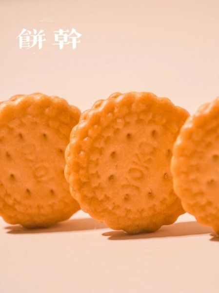 饼干镜头适合拍什么_饼干镜头适合拍人像吗-第3张图片-星辰妙记 饼干镜头适合拍什么_饼干镜头适合拍人像吗-第3张图片-星辰妙记