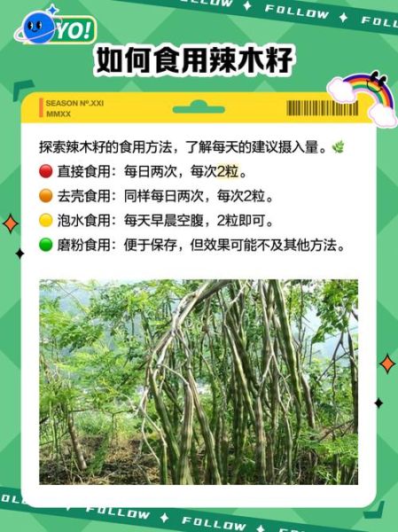 孕妇可以吃辣木籽吗_辣木籽对孕妇的影响-第2张图片-星辰妙记 孕妇可以吃辣木籽吗_辣木籽对孕妇的影响-第2张图片-星辰妙记