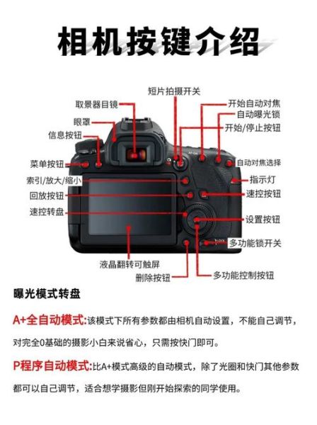 佳能镜头维修点在哪_佳能镜头维修价格贵吗-第3张图片-星辰妙记 佳能镜头维修点在哪_佳能镜头维修价格贵吗-第3张图片-星辰妙记