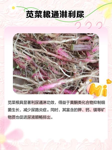 孕妇苋菜可以吃吗_苋菜对孕妇的好处与禁忌-第1张图片-星辰妙记