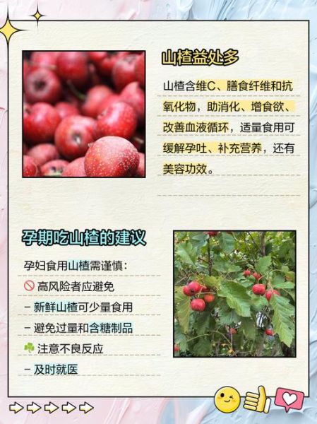 孕妇能吃山楂吗_山楂对胎儿的影响-第2张图片-星辰妙记 孕妇能吃山楂吗_山楂对胎儿的影响-第2张图片-星辰妙记