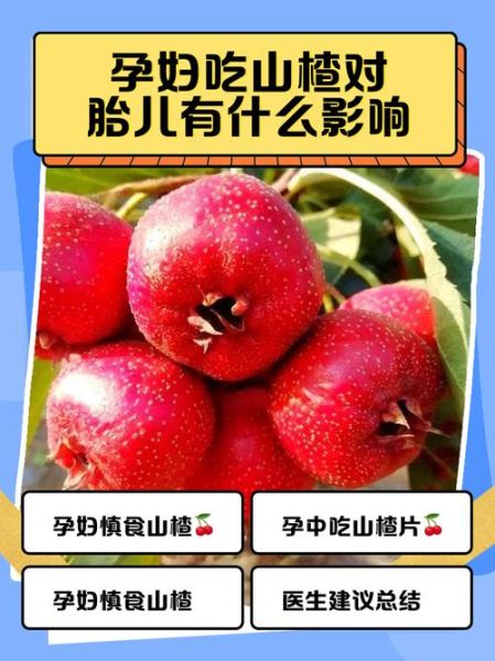 孕妇能吃山楂吗_山楂对胎儿的影响-第1张图片-星辰妙记 孕妇能吃山楂吗_山楂对胎儿的影响-第1张图片-星辰妙记
