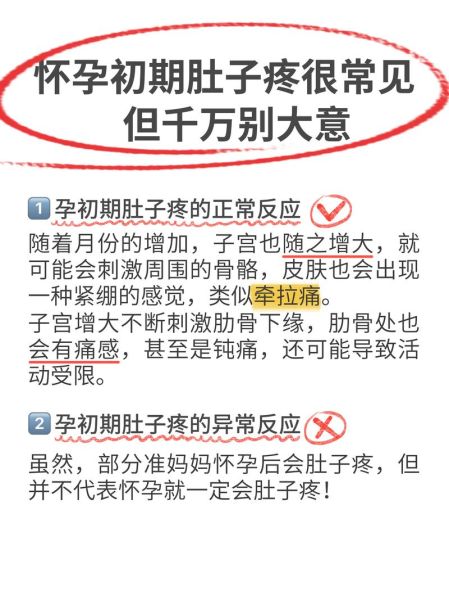 孕妇小腹疼怎么回事_孕早期小腹疼正常吗-第2张图片-星辰妙记 孕妇小腹疼怎么回事_孕早期小腹疼正常吗-第2张图片-星辰妙记