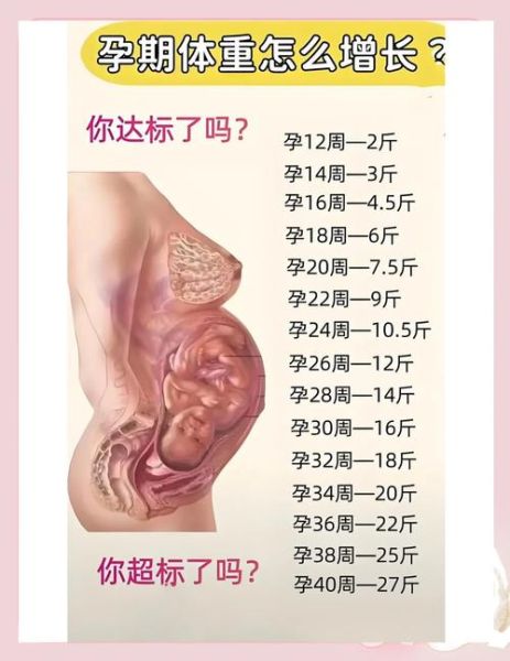 孕妇体重增长标准_孕期体重怎么控制-第1张图片-星辰妙记