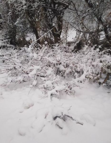 孕妇梦见下雪是什么征兆_孕妇梦见下雪生男生女-第3张图片-星辰妙记