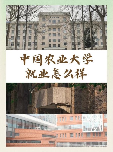 中国农业大学专业有哪些_就业前景如何-第2张图片-星辰妙记 中国农业大学专业有哪些_就业前景如何-第2张图片-星辰妙记