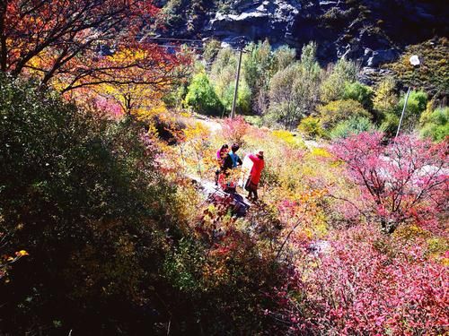 小井沟在哪里_小井沟有什么好玩的-第3张图片-星辰妙记 小井沟在哪里_小井沟有什么好玩的-第3张图片-星辰妙记