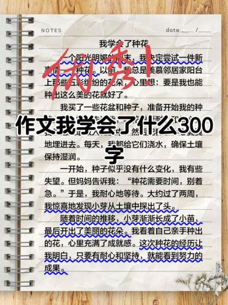 我学会了什么作文300字怎么写_如何写出真情实感-第2张图片-星辰妙记 我学会了什么作文300字怎么写_如何写出真情实感-第2张图片-星辰妙记