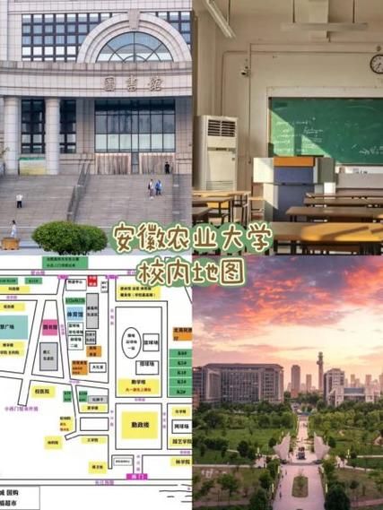 安徽农业大学地址在哪_怎么去最方便-第1张图片-星辰妙记