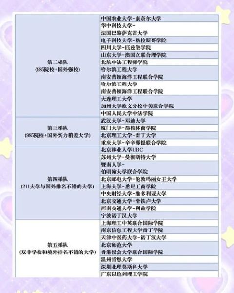 中外合作大学有哪些_中外合作大学值得报考吗-第2张图片-星辰妙记