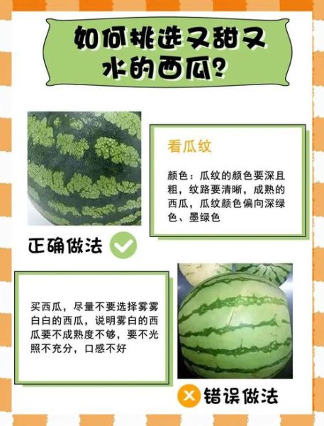 西瓜怎么挑选才甜_西瓜怎么保存时间长-第1张图片-星辰妙记 西瓜怎么挑选才甜_西瓜怎么保存时间长-第1张图片-星辰妙记