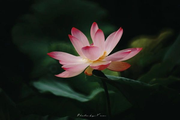 美能达250折返镜头值得买吗_美能达250折返镜头画质怎么样-第3张图片-星辰妙记