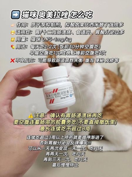 奥美拉唑孕妇可以吃吗_怀孕胃酸过多怎么办-第3张图片-星辰妙记 奥美拉唑孕妇可以吃吗_怀孕胃酸过多怎么办-第3张图片-星辰妙记