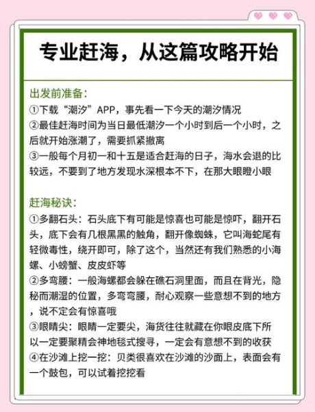 赶海作文600字怎么写_赶海作文600字写作技巧-第2张图片-星辰妙记