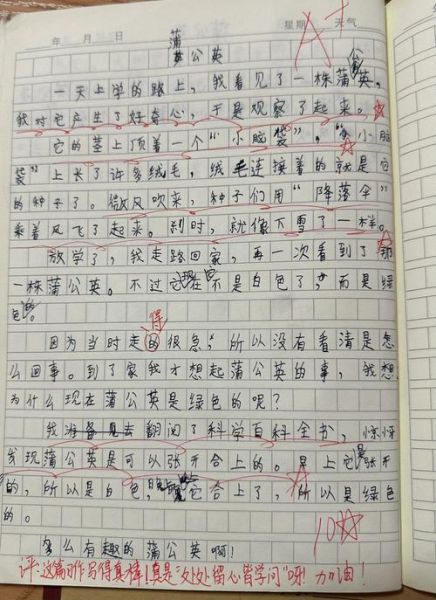 小学生三年级作文怎么写_三年级作文不会写怎么办-第2张图片-星辰妙记