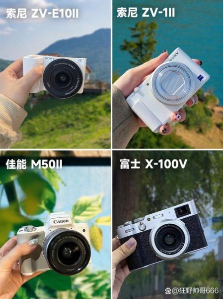 莱卡镜头和索尼哪个好_画质与性价比全面对比-第2张图片-星辰妙记