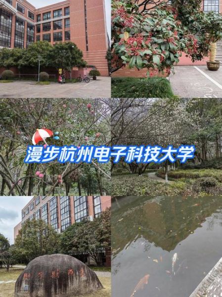 杭州电子科技大学电子信息学院怎么样_就业前景如何-第1张图片-星辰妙记