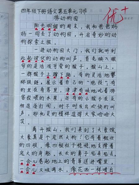 七年级作文怎么写_七年级作文写作技巧-第3张图片-星辰妙记