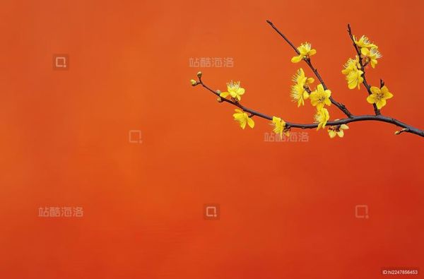 橙色镜头怎么调_橙色镜头适合拍什么-第3张图片-星辰妙记