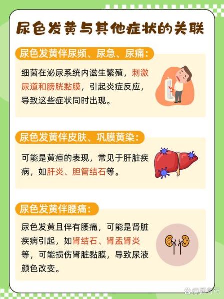 孕妇尿黄正常吗_孕早期尿黄是什么原因-第2张图片-星辰妙记