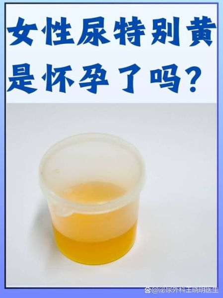 孕妇尿黄正常吗_孕早期尿黄是什么原因-第1张图片-星辰妙记