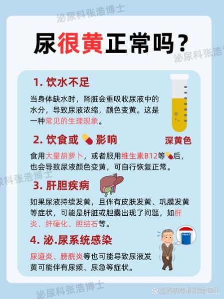 孕妇尿黄正常吗_孕早期尿黄是什么原因-第3张图片-星辰妙记