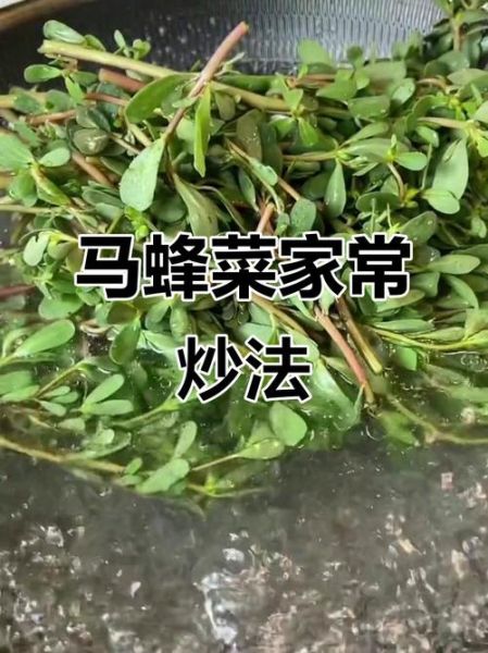 马蜂菜孕妇可以吃吗_孕妇吃马蜂菜注意事项-第2张图片-星辰妙记 马蜂菜孕妇可以吃吗_孕妇吃马蜂菜注意事项-第2张图片-星辰妙记