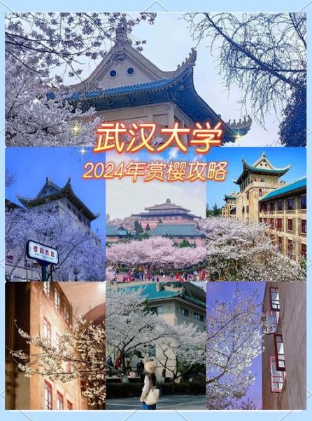 武汉大学中文系怎么样_就业前景如何-第1张图片-星辰妙记