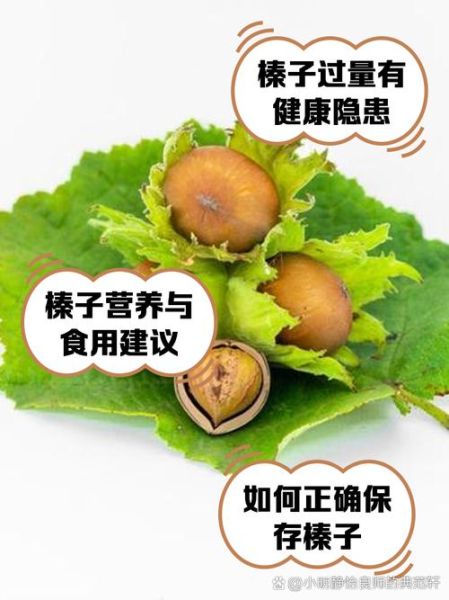 孕妇可以吃榛子吗_孕期吃榛子注意事项-第1张图片-星辰妙记 孕妇可以吃榛子吗_孕期吃榛子注意事项-第1张图片-星辰妙记