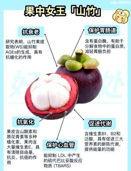 孕妇能吃山竹吗_山竹的营养价值-第1张图片-星辰妙记 孕妇能吃山竹吗_山竹的营养价值-第1张图片-星辰妙记