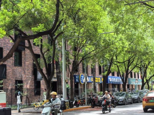 城市街景镜头怎么拍_街景拍摄技巧有哪些-第2张图片-星辰妙记 城市街景镜头怎么拍_街景拍摄技巧有哪些-第2张图片-星辰妙记