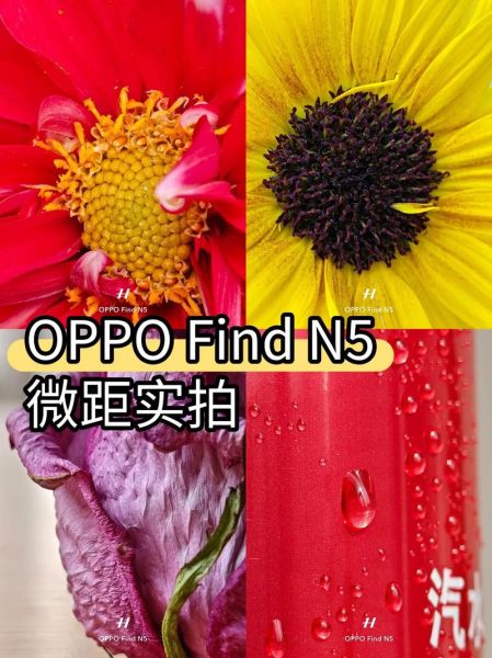 镜头最近对焦距离_如何拍出锐利微距-第3张图片-星辰妙记