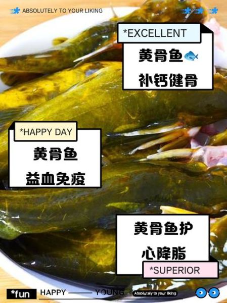 孕妇可以吃黄骨鱼吗_黄骨鱼对胎儿好吗-第1张图片-星辰妙记